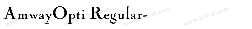 AmwayOpti Regular字体转换